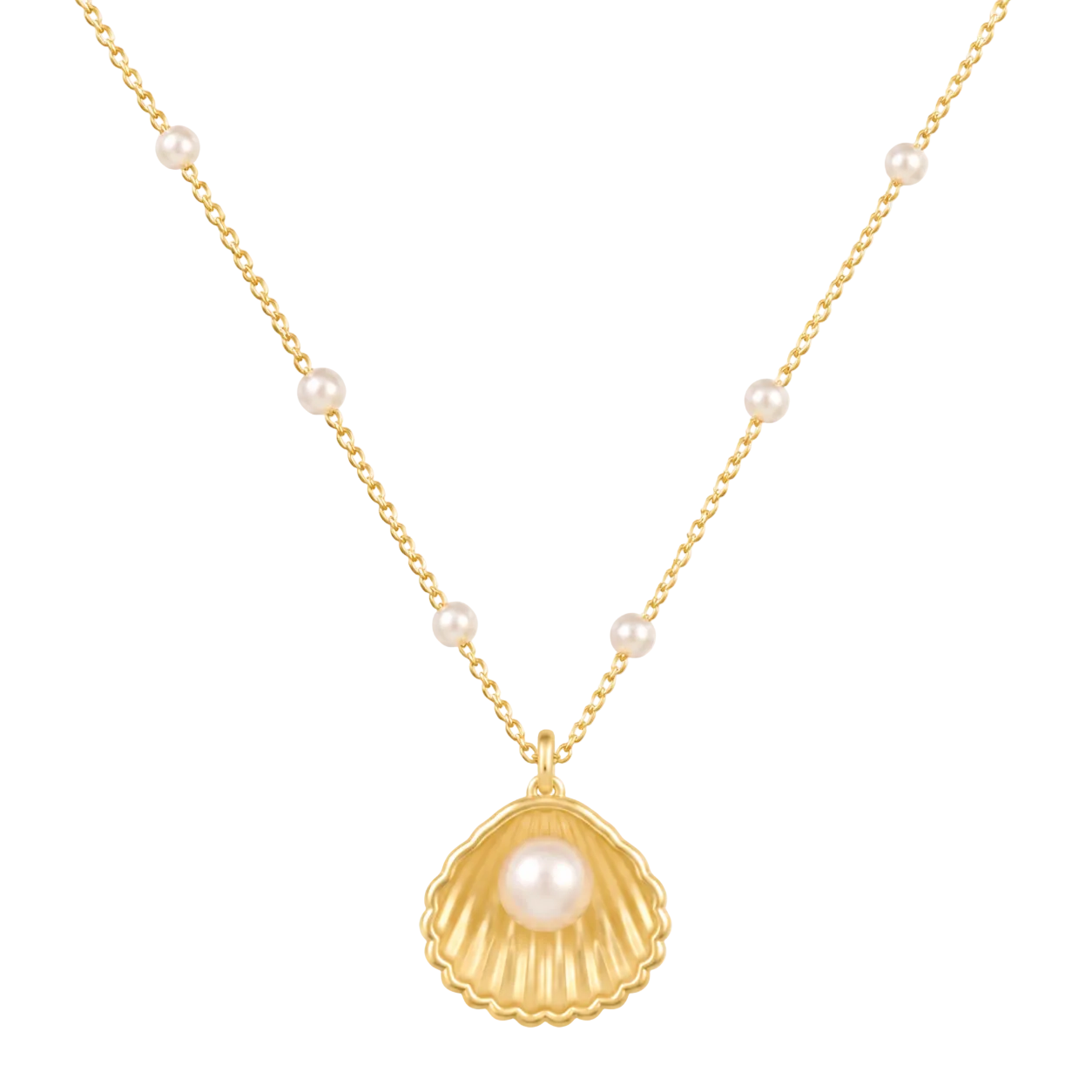 Seashell Pearl Necklace - ZOVA JEWELS